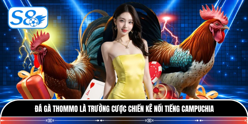 Đá gà Thommo là trường cược chiến kê nổi tiếng Campuchia
