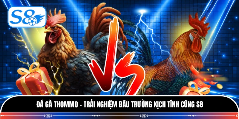 Đá Gà S8 - Trải Nghiệm Đấu Kê Trực Tuyến Đẳng Cấp 2026