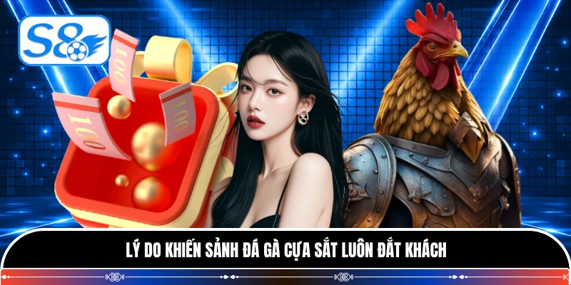 Lý do khiến sảnh đá gà cựa sắt luôn đắt khách